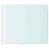 VidaXL Panneaux d'étagère 2 pcs Verre Transparent 30 x 20 cm