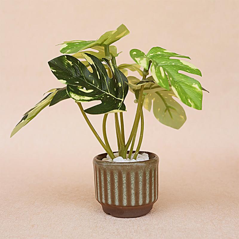 1/12 Dollhouse Mini Simulation Monstera Potted Model Dollhouse Green Plant Decoration Dolls House Living Decor Accessories