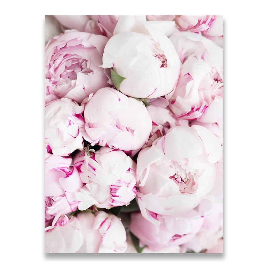 

Минималистские скандинавские постеры и принты Розовый пион Цветок Детская комната Декор Холст Картина Настенная картина для гостиной Без рамки 21*30cm No Frame