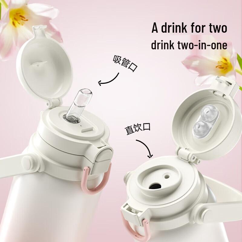 HAERS 750ML Double-Drink Insulated Straw Cup