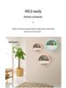 Nordic Wall-Mounted Round Pothos Planter: Creative Green Plant Decor & Fish Tank for Living Room
