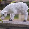 Statua di Pecora da Esterno, Scultura di Pecora in Resina per Giardino, Grazioso Ornamento di Agnello Realistico per Cortile Prato Fattoria Decorazione
