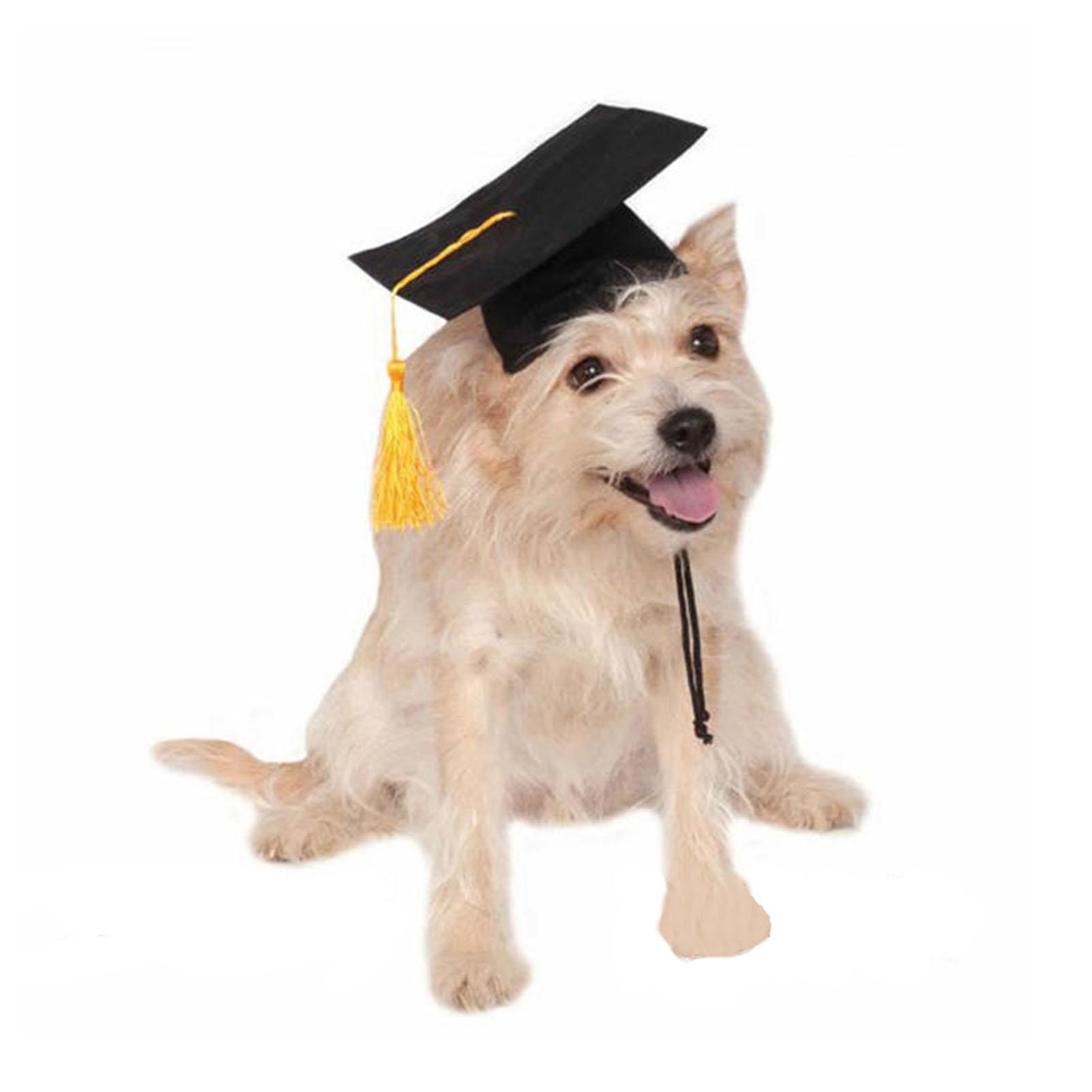 Graduation Hat Pet Accessory Adjustable Pet Graduation Cap For Puppy Kitten Pet Birthday Dress Up Props