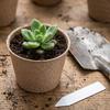 80pcs 10cm Round Biodegradable Paper Pulp Seedling Pots with 80 Plant Labels 4 Drainage Holes Compostable Nursery Containers for Gardening