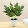 Artificial Plant Bonsai Unfading Decorate Exquisite Details Exquisite Small Tree Simulation Pot Plant for Home