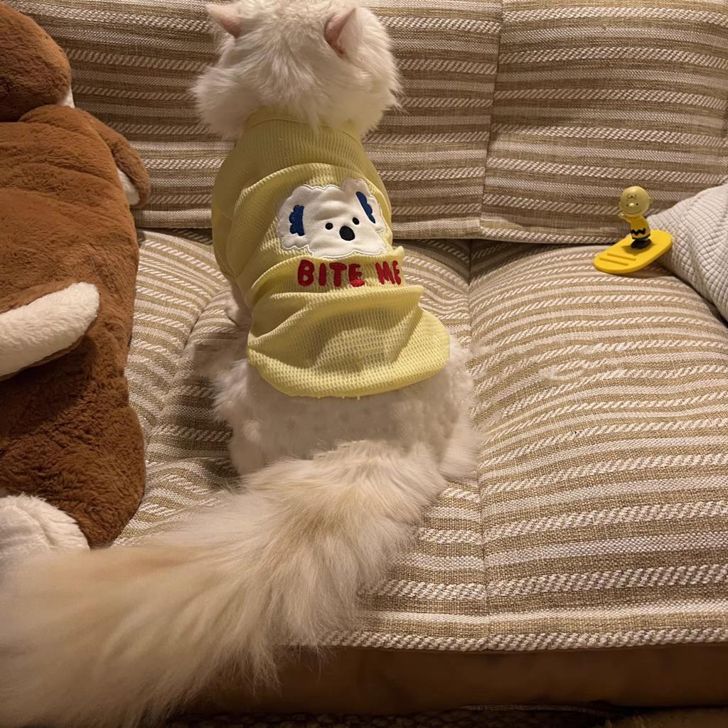 Pet Cat Clothes Summer Thin Breathable Outfit Ragdoll Kitten Silver Gradient Blue Cat Kitten Pet Two-Legged Clothes