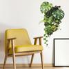 Tropical Green Plants for Bedroom, Living Room, Entrance Hall, Home Decoration, Wall Beautification, Wall Stickers
