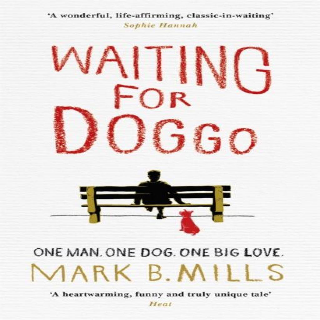 Waiting For Doggo by Mark Mills Paperback Book 9781472218339