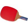 Nittaku MIMA P2000 Tischtennisbelag Bali Schläger Auswahl Lager (nh5137)
