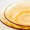 Lock & Lock Amber Glass Plate Set (2-Piece)