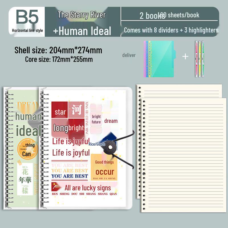 B5 Detachable Coil Ring Binder Thickened Notebook - High Aesthetic Ins Style