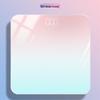 Precision Electronic Hidden Screen Body Weight Scale – Health Scale with Gradient Options