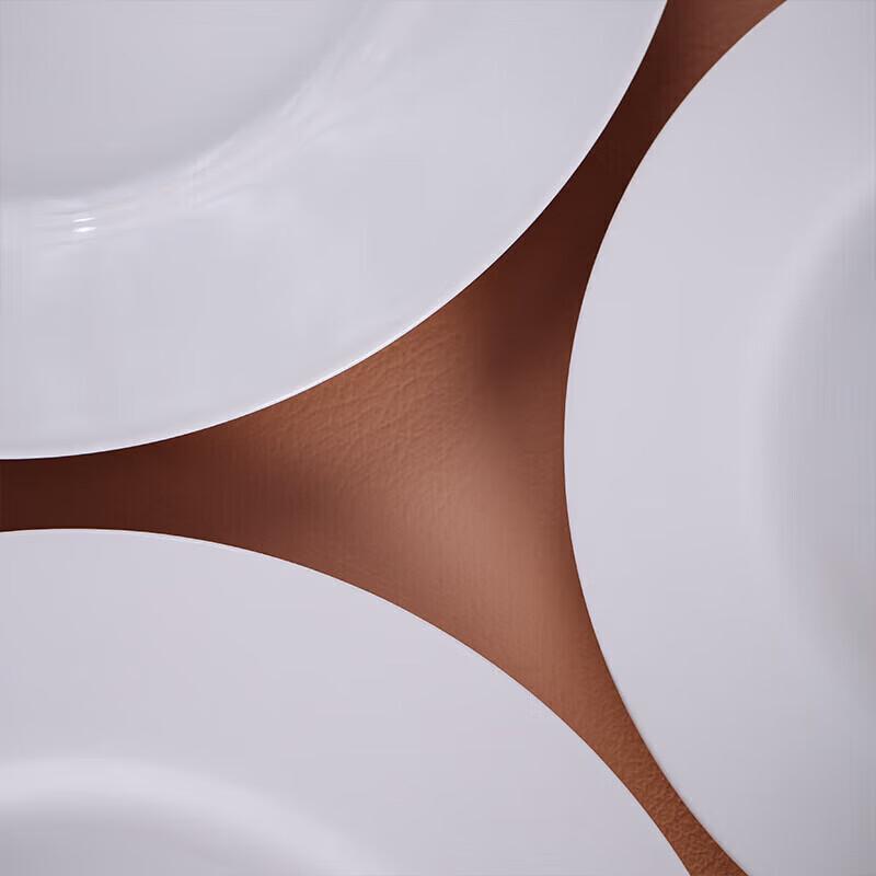Pure White Ceramic Dinner Plate