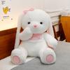 Goodnight Plush Adorable Bear And Sweetheart Rabbit Soft Toy Gift Cuddling For