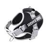 Puppy Harness for Dogs Accessories Dog Supplies Collars Harnesses Leashes Big Dog Leash Pet Collar Small Pets Things