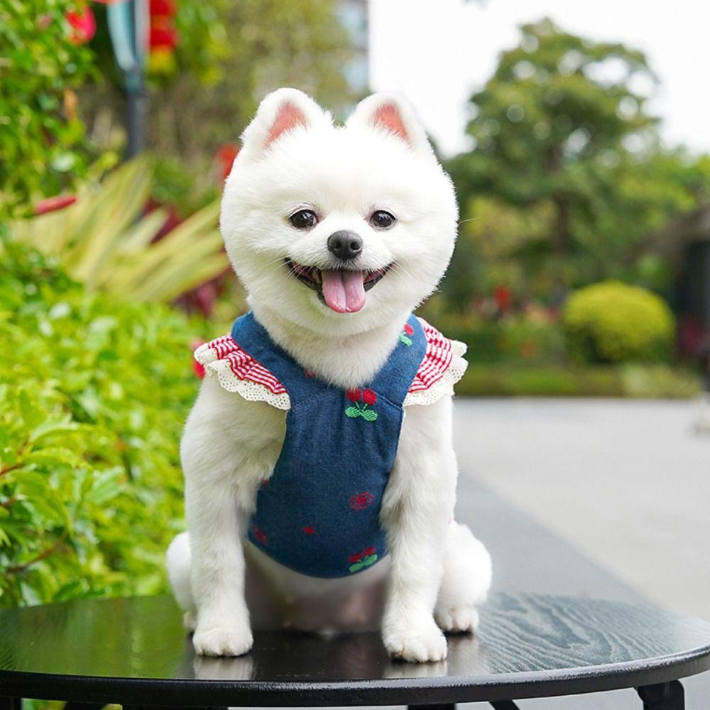 Breathable Mesh Pet Dog Skirt Suspender Dress Cat Clothes Chic Apparel Dog Denim Dress  Small Dogs