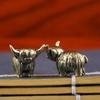 .1PC Mini Retro Brass Wall Highland Cattle Sculpture Hand Toy Gift Keychain Ornament Home Office Desk Decorative Ornament