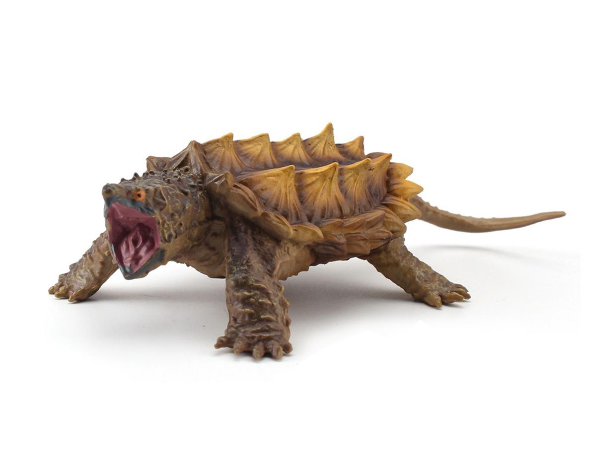 1Pcs Lifelike Amphibian Reptile Model Creative Household Toys Crafts Freshwater Turtle Alligator Snapping Turtles Plaything Figurine