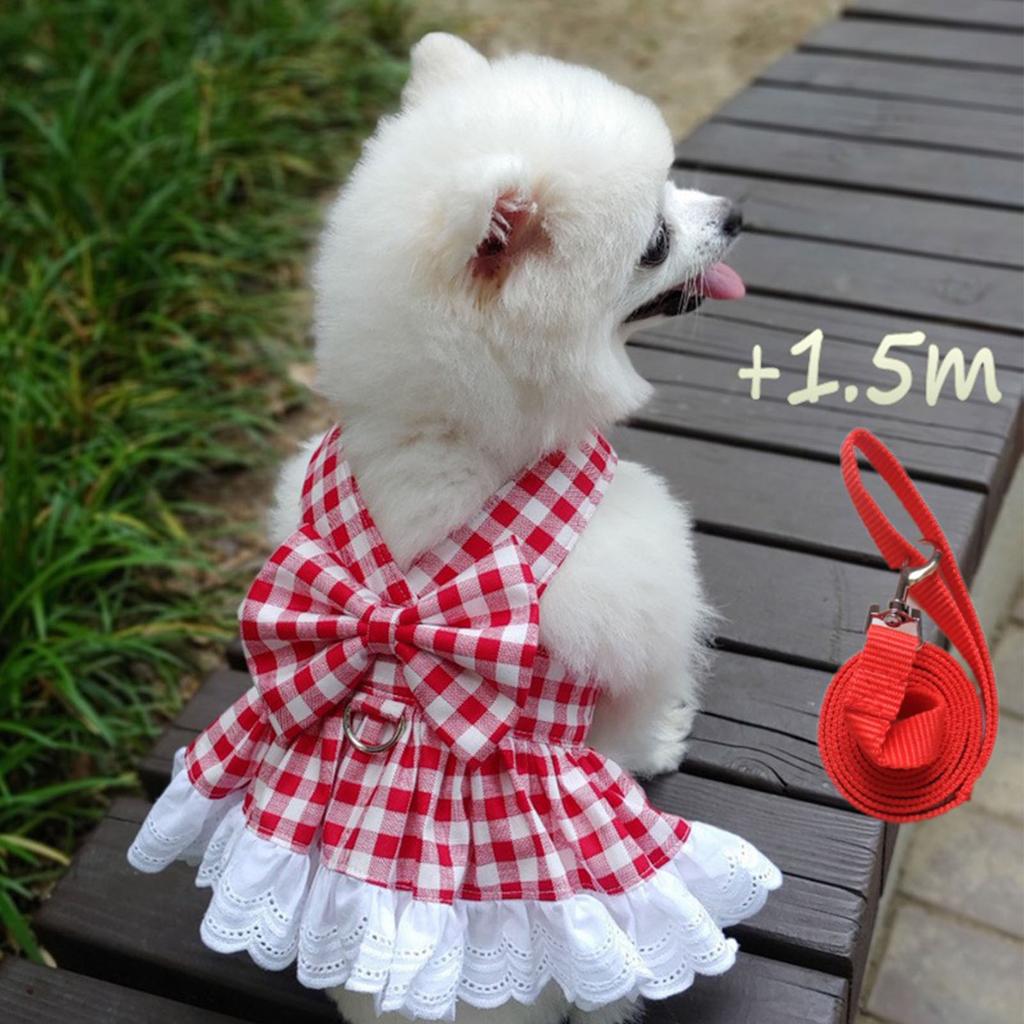 Kariertes Hunde-Kleid Leinen-Set Rot Kariert Spitzenbesatz Welpenkleid Frühling Sommer Ärmellos Haustierkleid mit