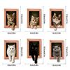 Oil Painting Style Wooden Frame Fridge Magnets 3D Wacky Cat Refrigerator Magnets  Home Decoration
