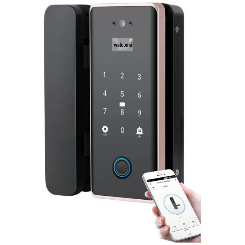 Realand 3D Facial Recognition Smart Door Lock CN plug (adapter included)