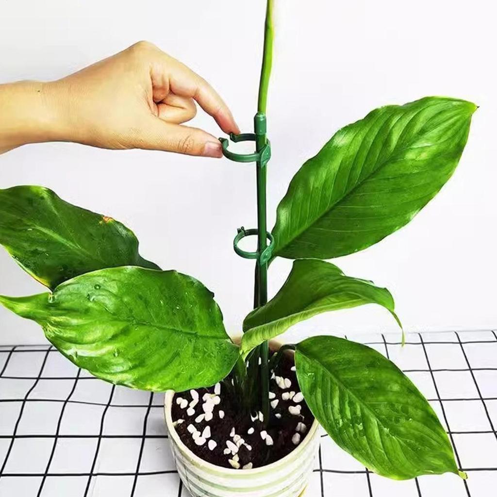 20Pcs Plant Supports Stakes Green Plant Sticks Support Potted Single Vine Stem Fixing Rod Holder Reusable Plant Anti Lodging