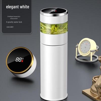 Smart Temperature Display Tea Infuser Bottle