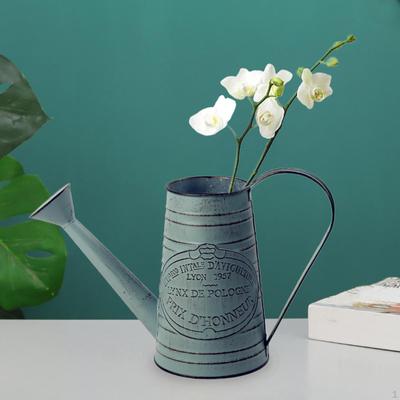 Iron Kettle Flower Pot Watering Can Flowerpot Planter Jug for Kitchen
