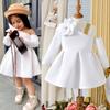 Spring and Autumn New Girls' Set Toddler Floral Off-Shoulder Long Sleeve Dress Children's Clothing