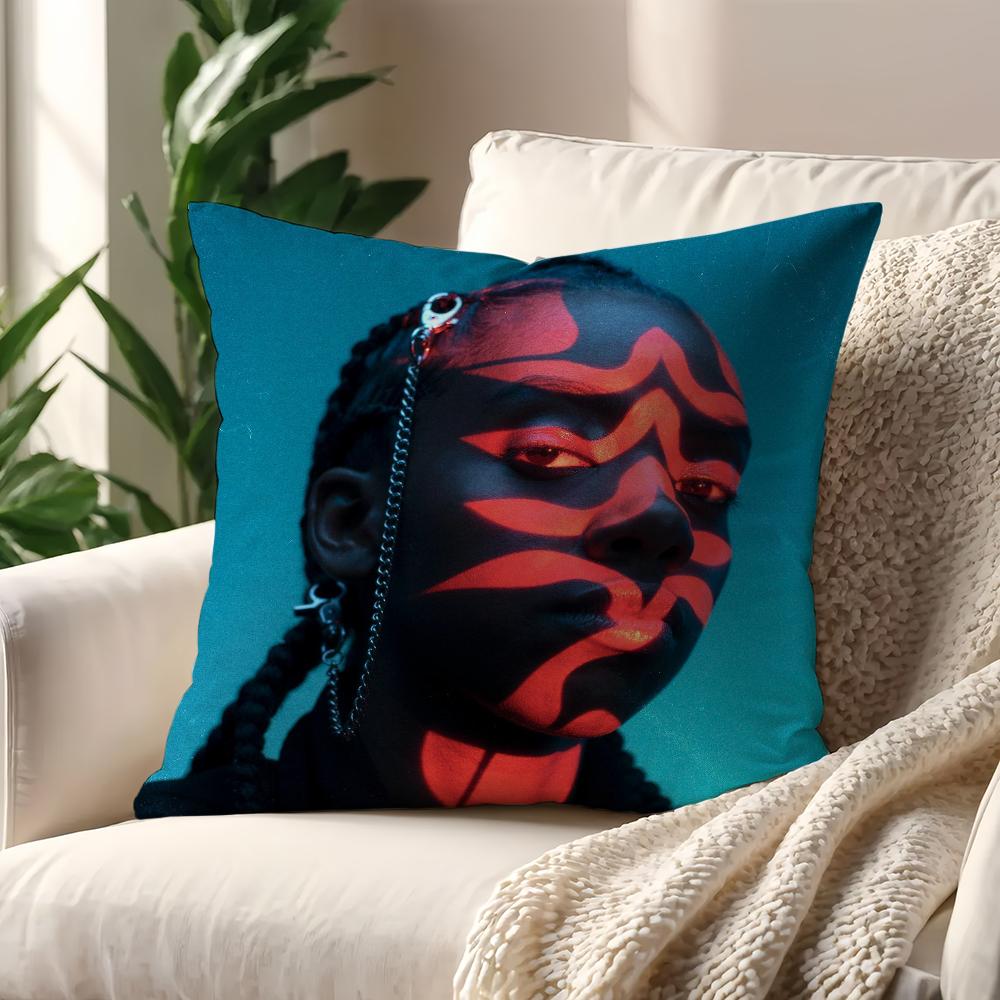 Singer D-Dua Saleh I Should Call Them cushion cover Pillow Cover Decoration Room Home Sofa living Office Car Nordic Simplicity 12x12Inch