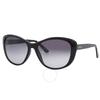 Grey Butterfly Ladies Sunglasses Ck19560s 001 57