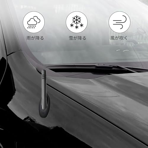 REYLNXR Kurze Antenne Autoantenne Radioantenne Signalverstärkung Automobilantenne Universell (Design C)