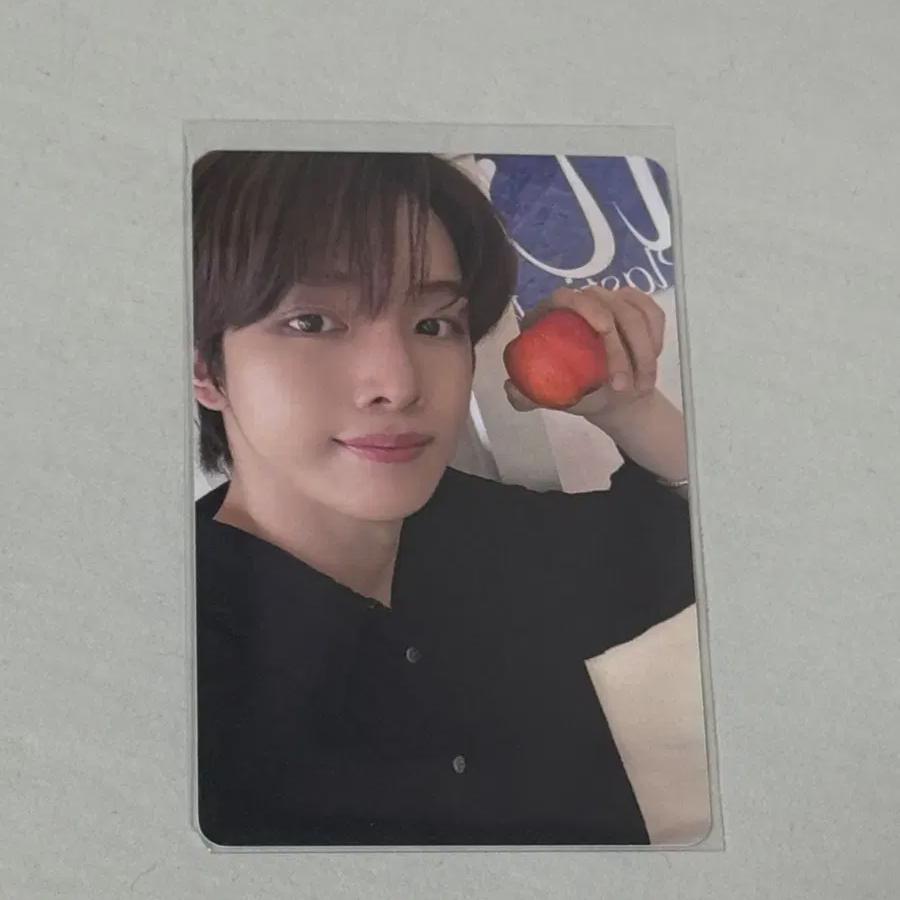 

Riize D Icon Sungchan Apple Фотокарточка