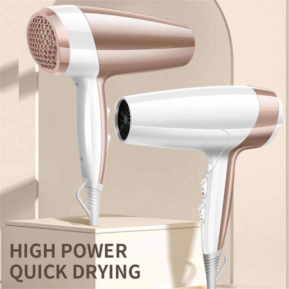 2000W High Power Hair Dryer Blue Light Care Negative Ion Quick Drying Hair Styling Tool,EU Plug