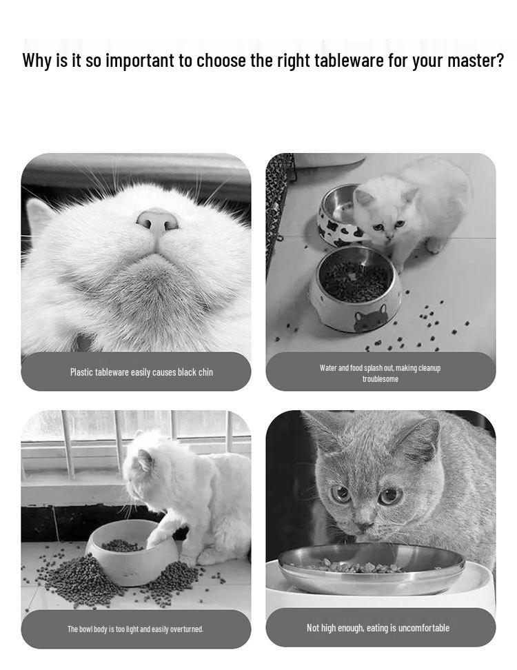 Cute Blush Bear Ceramic Pet Bowl - Slanted Large Diameter Bowl for Cats and Dogs