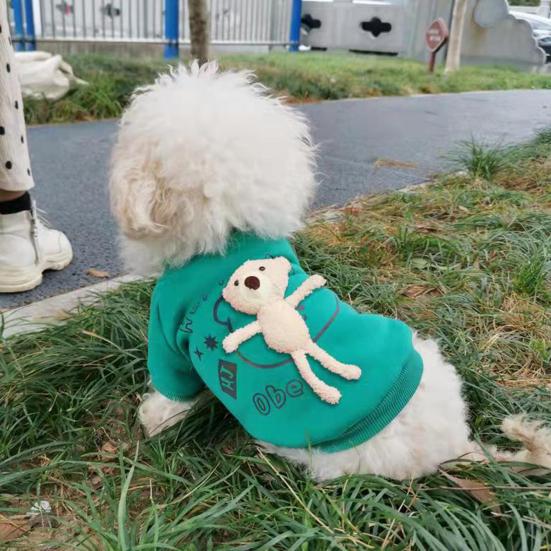 dog bear sweater