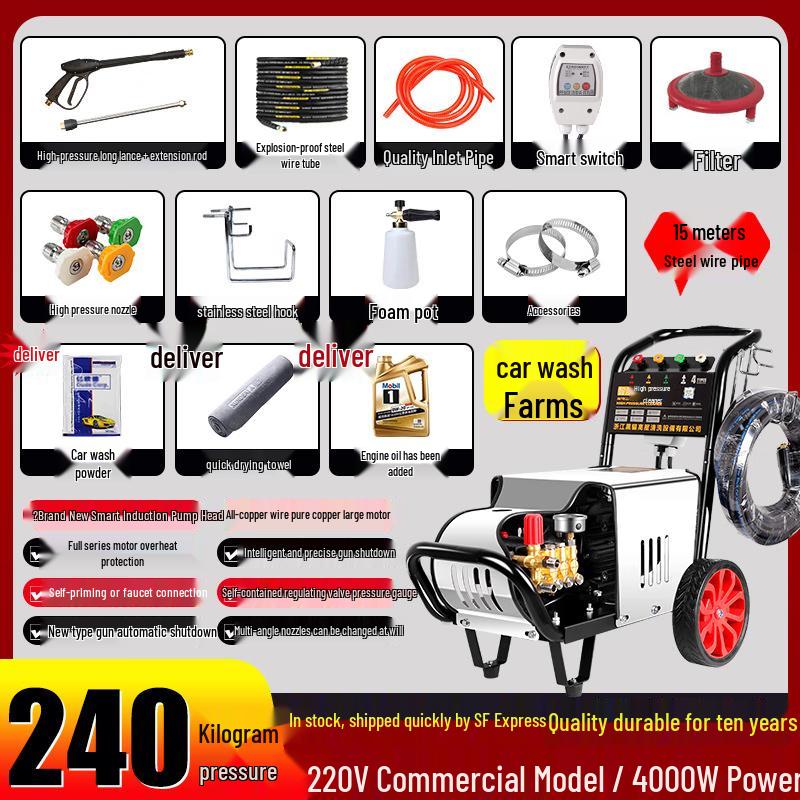 Black Cat Duke Commercial Pressure Washer CN plug (adapter included)