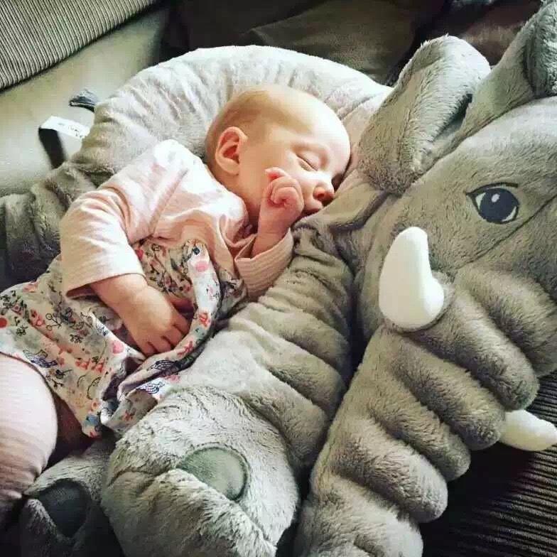 Lovely Elephant Plush Toy Throw Pillow Small Elephant Doll Baby Comfort Doll Children Doll Birthday Gift