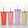 Plastic Water Cup Fashionable Rose Gold Cover Matte Multi-Color Double-Layer Plastic Straw Cup