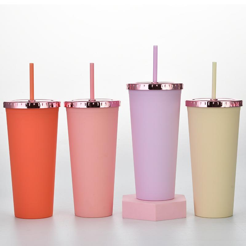 Plastic Water Cup Fashionable Rose Gold Cover Matte Multi-Color Double-Layer Plastic Straw Cup