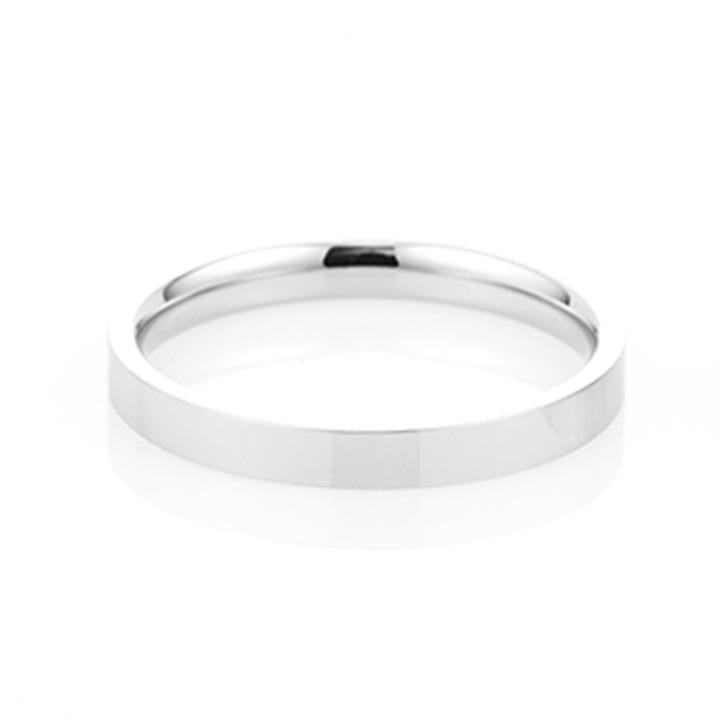 Glory_Arden [Unisex] Surgical Steel Ring 4Mm / Gspr-003-1 / Size 10