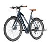 Bicicletă electrică Fafrees F700W, motor 250W, baterie 36V 10Ah, 9 viteze