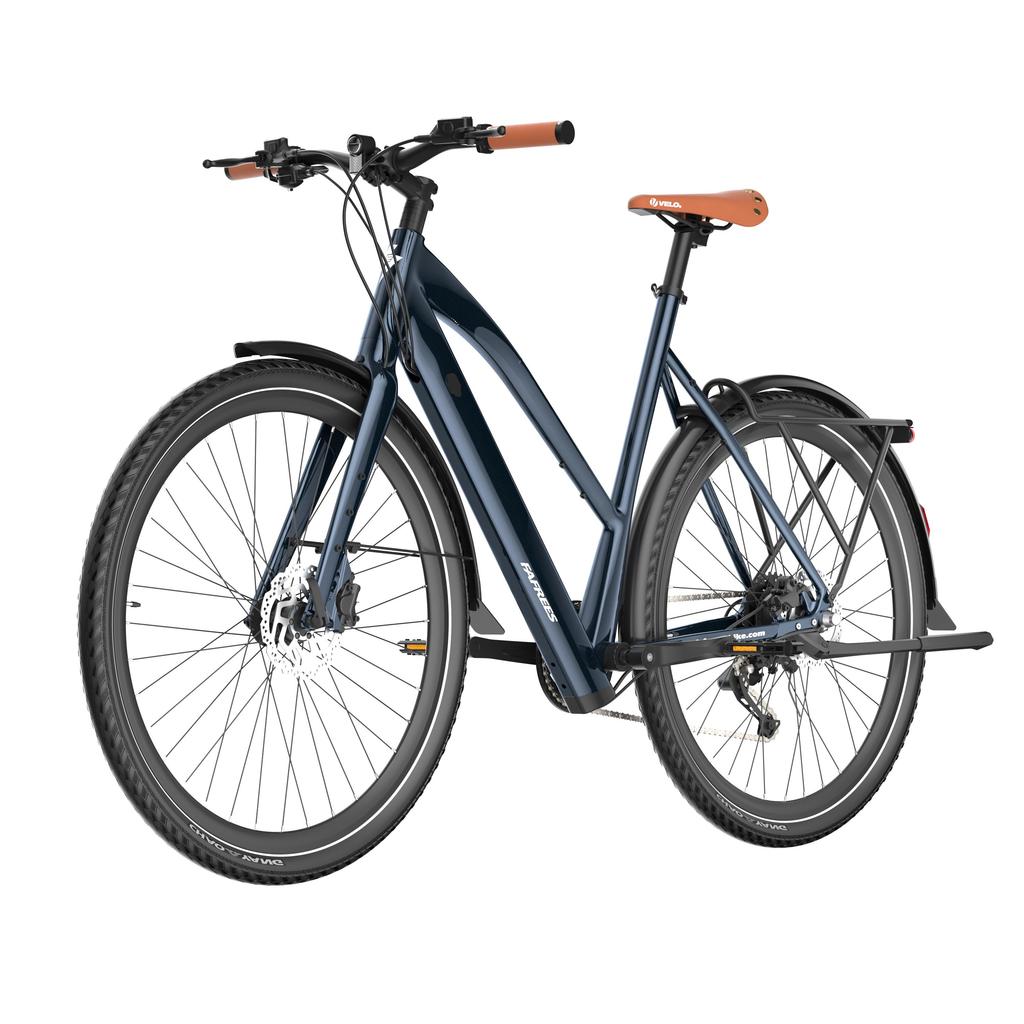 Fafrees F700W Elektrofahrrad, 250W Motor, 36V 10Ah Akku, 9-Gang
