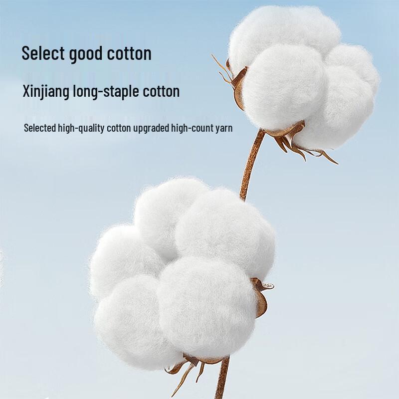 Lonsa Women's Pure Cotton Mid-Waist Anti-Bacterial Briefs (6-Pack)
