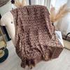 Jacquard Fashion High-End Imitation Cashmere Scarf Women'S Early Spring Warm Casual Outer Shawl Scarf