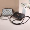 Autumn New Fashion Trend Large-capacity Small Square Bag Middle-aged and Elderly Mother Multi-layer Oblique Span Bag