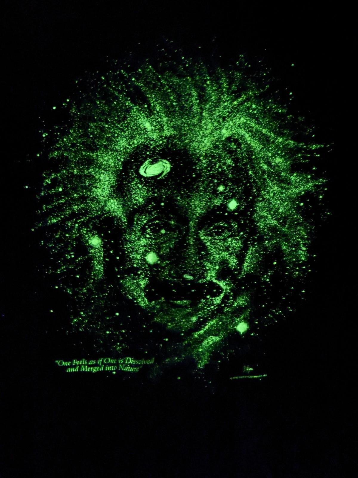 1993 Albert Einstein space galaxy stars glow in the dark graphic t Unisex T-Shirt L