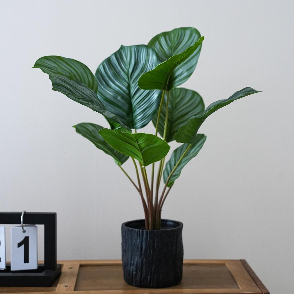 Artificial Turtle Back & Caladium Leaf Plants - Small Potted Decorations for Office, Living Room, or Coffee Table