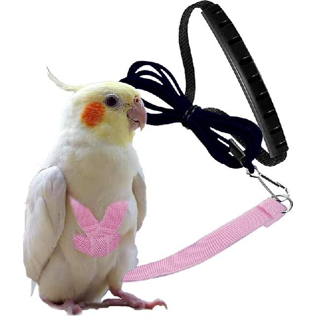 Dnoifne Smycz i Szelki dla Papugi Ptaka, Regulowany Design Treningowy Zapobiegający Gryzieniu, Ptasi Nylonowy Sznurek z Uroczy Skrzydłem dla Papug, Odpowiedni dla Szkarłatnej,