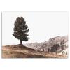 Canvas print Tree Mountains Nature